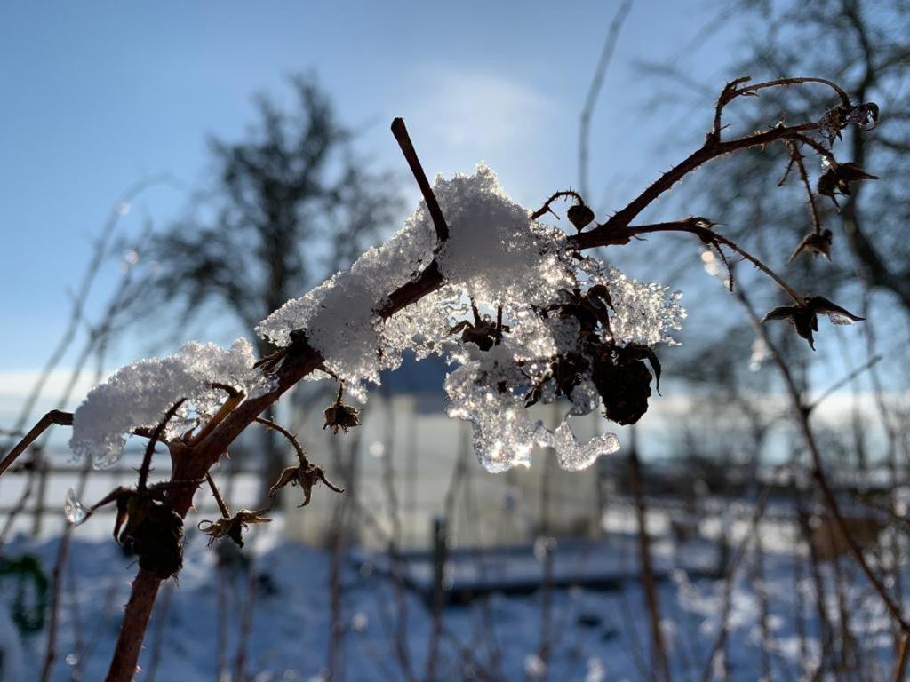 Ostseestuev Boiensdorf Bagian luar foto