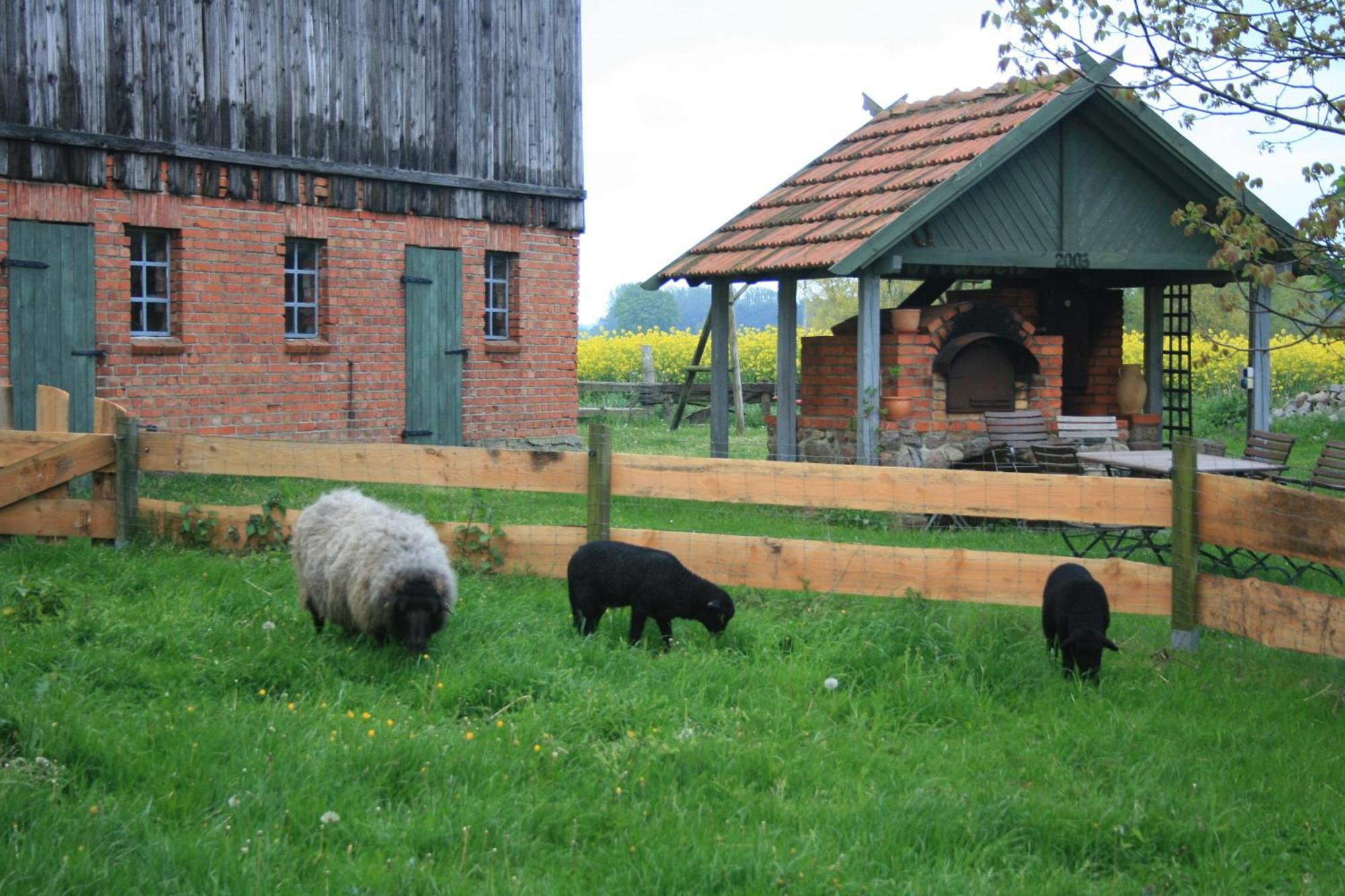 Ostseestuev Boiensdorf Ruang foto