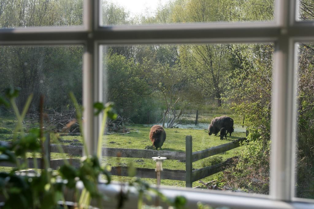 Ostseestuev Boiensdorf Ruang foto